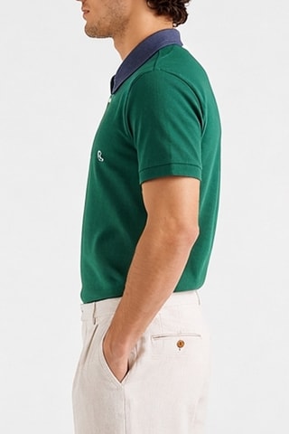 Polo - Verde
