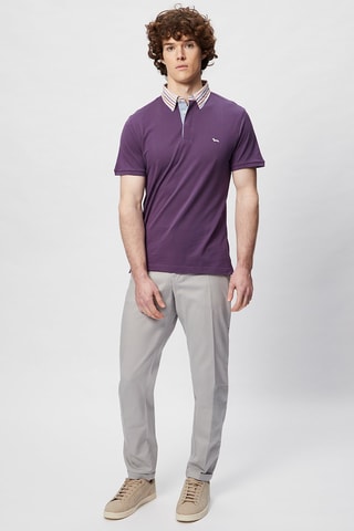 Chino - Gris