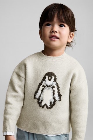 Pull-over maille pingouin brodé - Gris