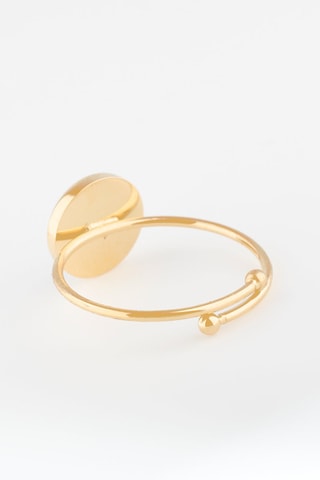 Anillo Dorado y negro