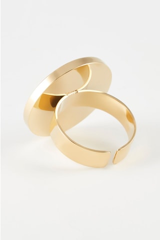 Anillo Negro