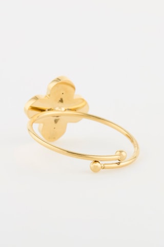Anillo - Dorado y blanco