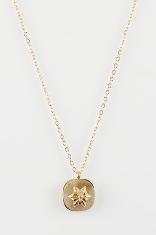 Collar Gris