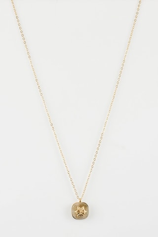 Collar Gris