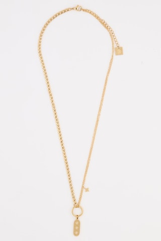 Collar Lassie - Dorado