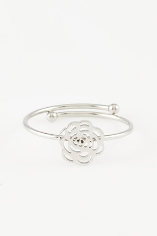 Anillo Plateado