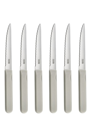 6 Roestvrijstalen Vleesmessen Energy - 21,3 cm