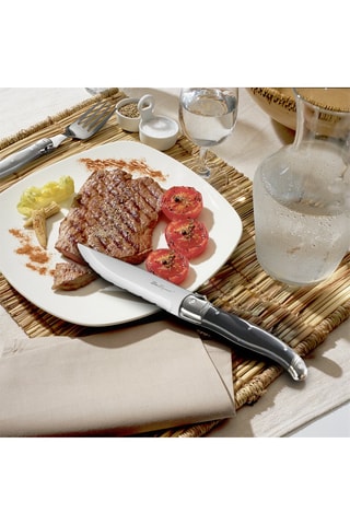6 Roestvrijstalen Steakmessen Tradition BBQ - 24 cm