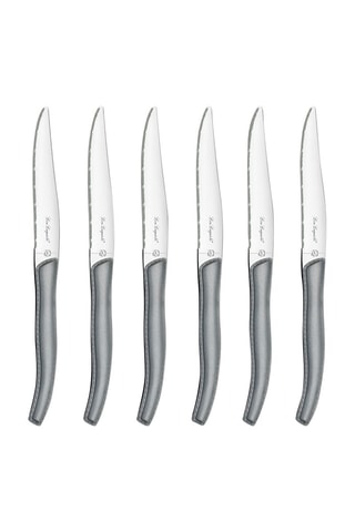 6 Roestvrijstalen 13/10 Steakmessen Sky - 23,2 cm