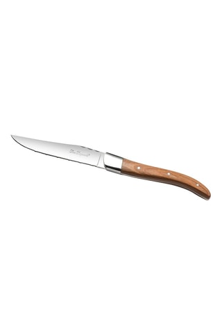 6 Roestvrijstalen 13/10 Steakmessen Louis - 23,7 cm