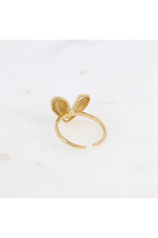 Anillo - Dorado