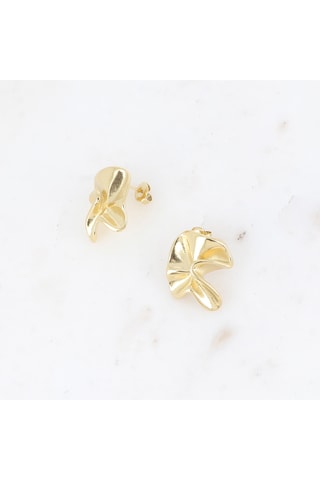 Brincos - Dourado