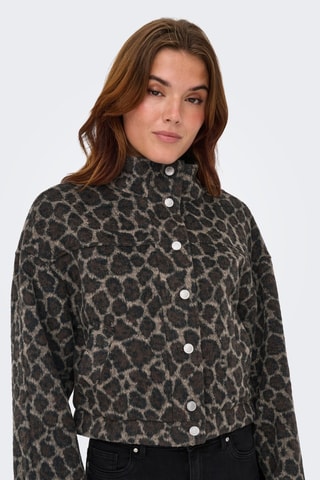 Veste - Gris