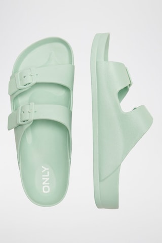 Mules - Vert d’eau