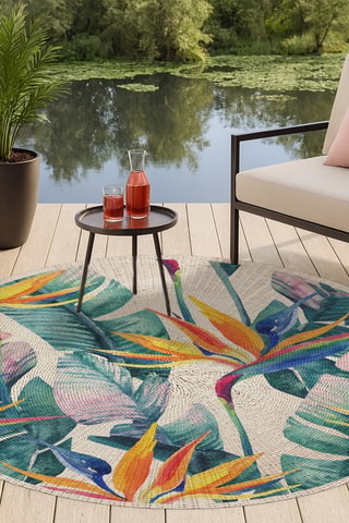 Tapis Ave del Paraíso - Multicolore
