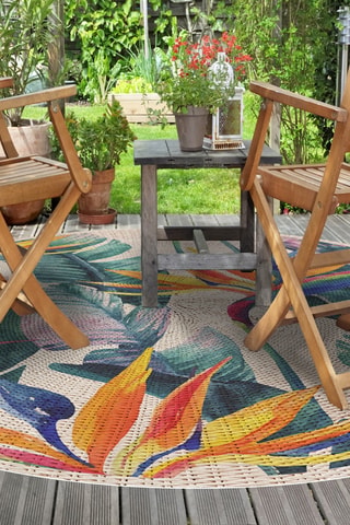 Tapis Ave del Paraíso - Multicolore