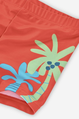 Slip bikini - Arancione - Blu, arancione e verde