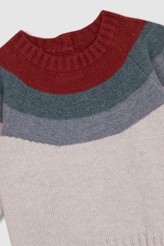 Maglia - Beige, rosso e verde
