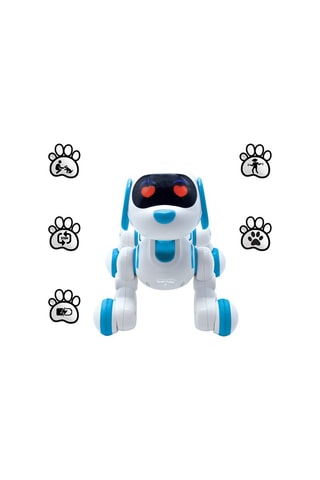 Power Puppy® Jr - Dès 4 ans