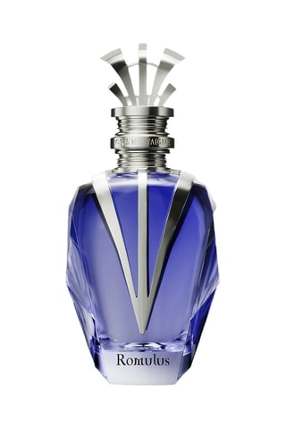 Romulus Gris Montaigne - Parfumextract 100 ml