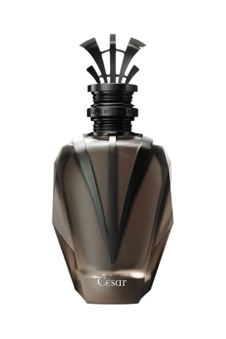 César Gris Montaigne - Parfumextract 100 ml
