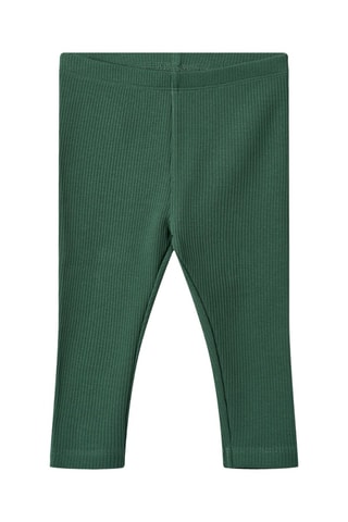Leggings de algodón orgánico - Verde