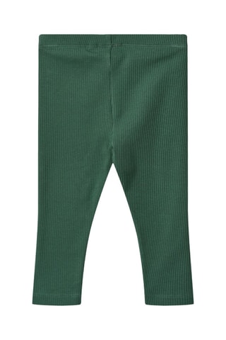 Leggings de algodón orgánico - Verde
