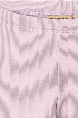 Leggings de algodón orgánico - Violeta