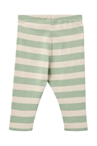 Leggings de algodón orgánico - Verde