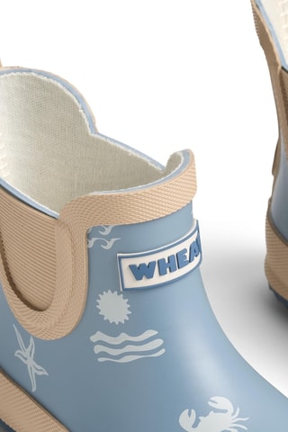 Botines - Azul