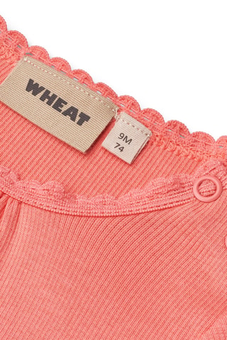 Body de algodón orgánico - Coral