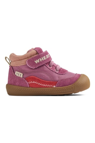 Botines - Violeta