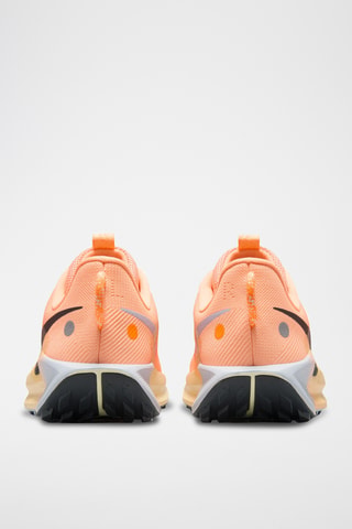Pegasus Trail 5 - Orange