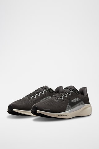 Pegasus 41 - Anthracite