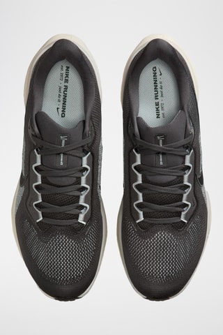 Pegasus 41 - Anthracite