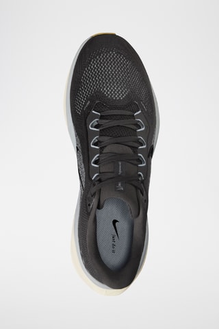 Pegasus 41 - Anthracite