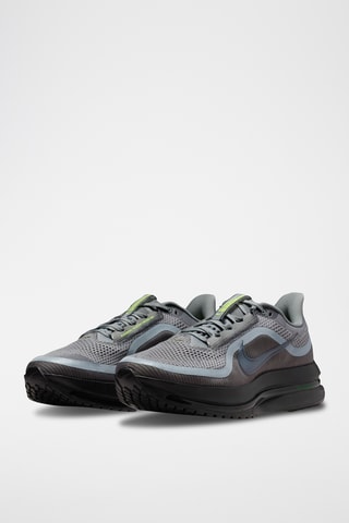 Pegasus Premium - Gris