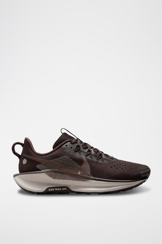 Nike Pegasus Trail 5 - Marron