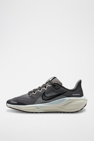 Nike Pegasus 41 - Gris clair