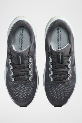 Nike Pegasus 41 - Gris clair