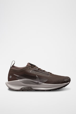 Nike Pegasus Trail 5 GORE-TEX - Marron