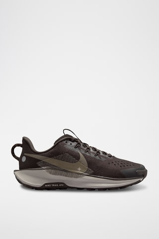 Nike Pegasus Trail 5 - Marron