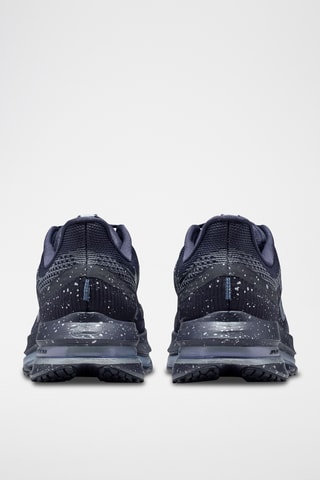 Nike Pegasus Premium SE - Noir et argenté