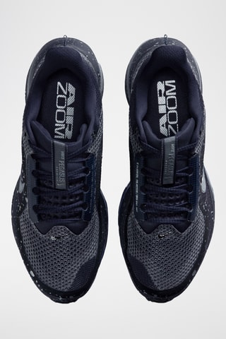 Nike Pegasus Premium SE - Noir et argenté
