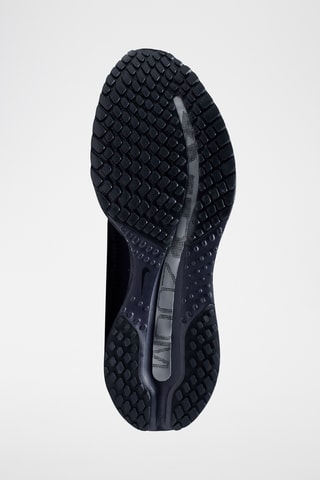 Nike Pegasus Premium SE - Noir et argenté