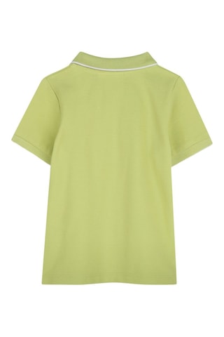 Polo regular - Verde chiaro