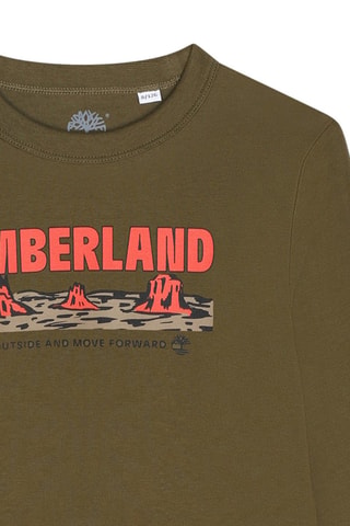 T-shirt in cotone bio - Kaki - Timberland