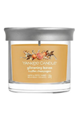 Vela em frasco perfumada «Folhas cintilantes» - Pequena jarra - 170 g