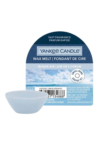 Waxmelt Air de l’océan - 29 g