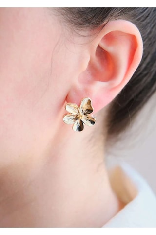 Boucles d’oreilles - Doré